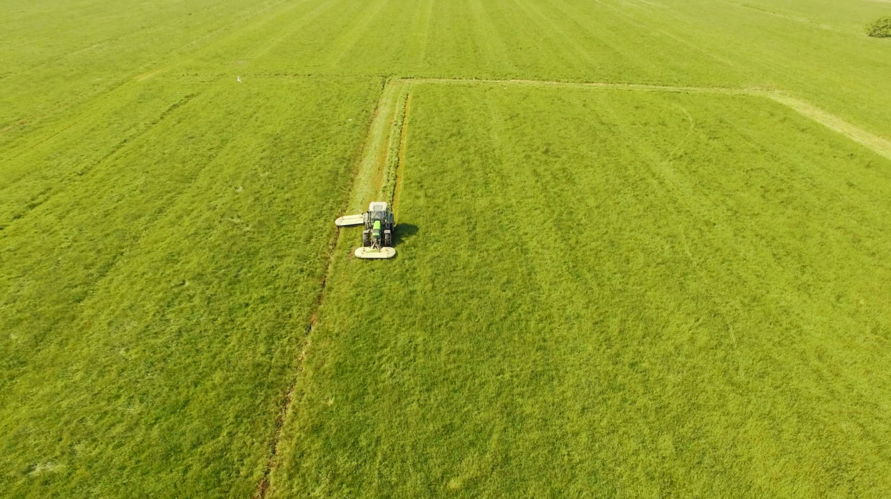 Luftbild Traktor von Speers Hoff fährt auf Grünflächen zur Futterversorgung von Kleintieren und Nagern