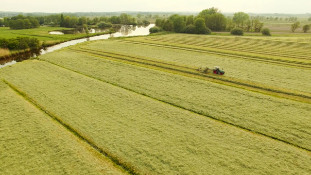 Luftbild Traktor von Speers Hoff erntet die eigenen Gräser der saftigen Marschwiesen hinterm Elbdeich von Speers Hoff