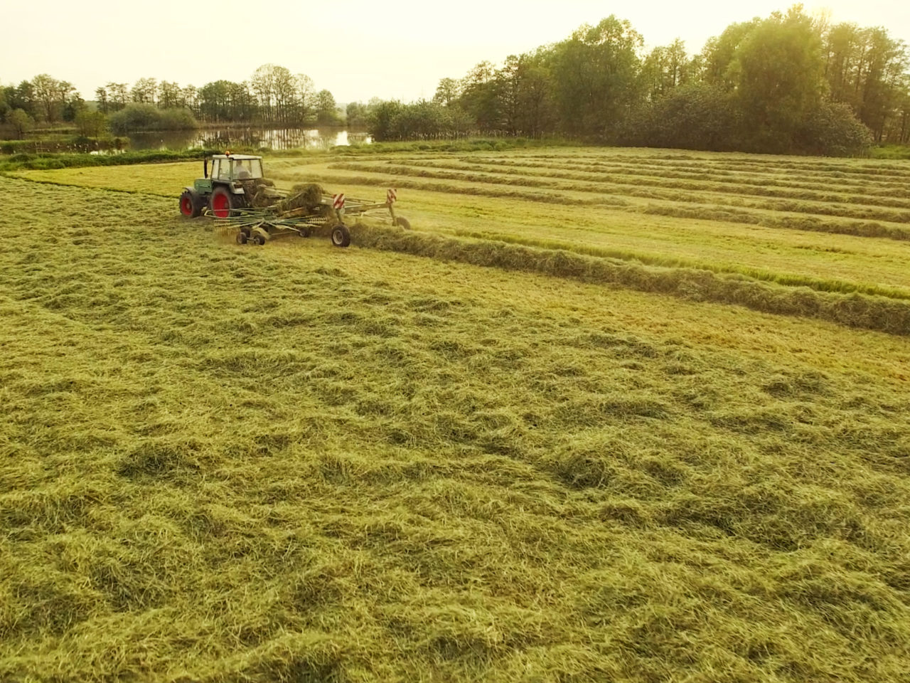 Traktor von Speers Hoff erntet die Gräser der saftigen Marschwiesen von Speers Hoff